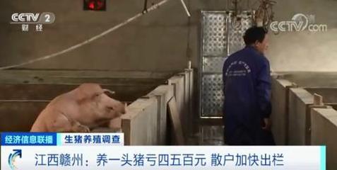 今日要闻 从空难搜救到经济振兴，全球多领域动态交织